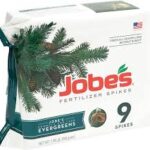 Jobe’s® – Evergreen Fertilizer Spikes