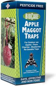 BioCare® – Apple Maggot Traps