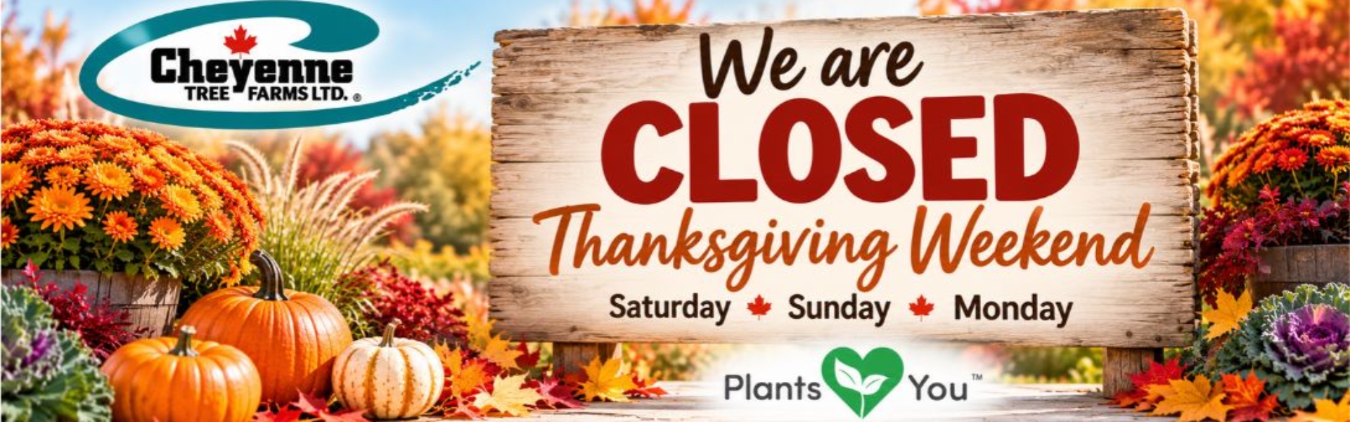 14 – Thanksgiving for website